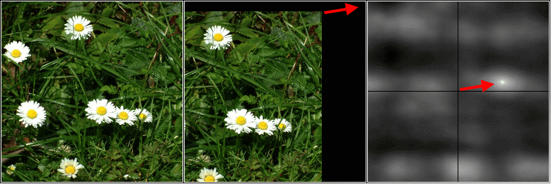 Autocorrelation